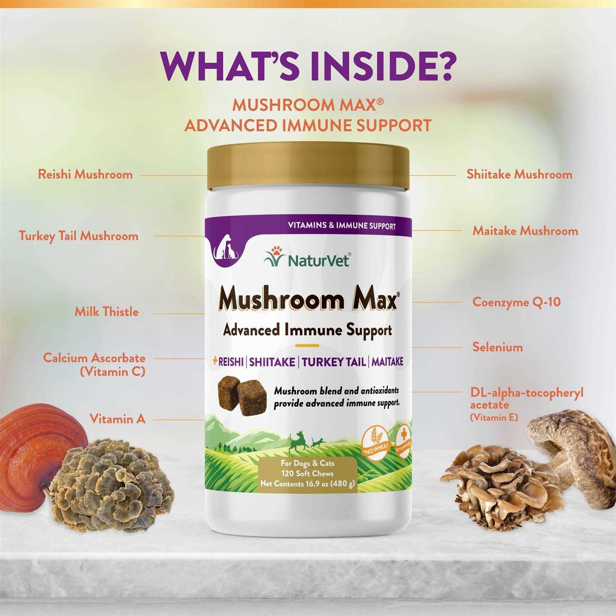 Mushroom Max Immune Support Soft Chews for Dogs & Cats K61543