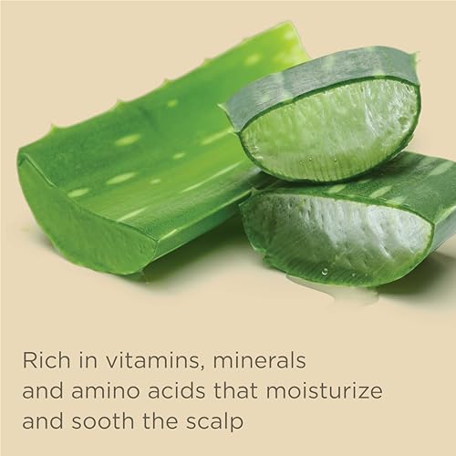 Moisture Shampoo and Conditioner Set with Jojoba Oil V171