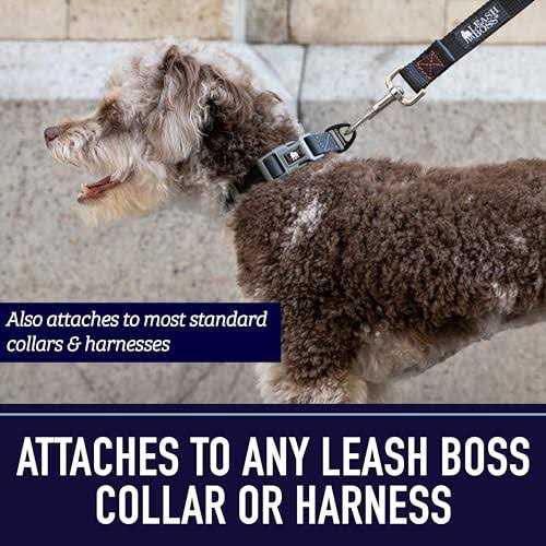 10 Foot Dog Leash with Padded Handle H89106