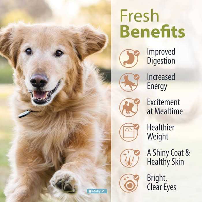 Balanced Frozen Dog Food A580105
