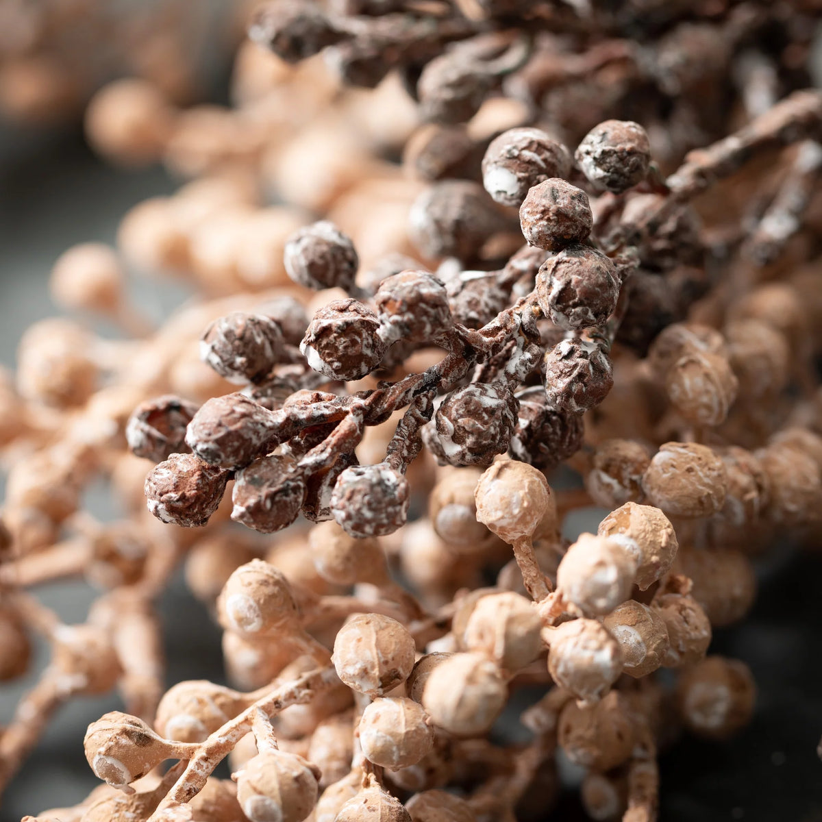 Artificial Dried Blush Berry Stem Set of 2 C624028