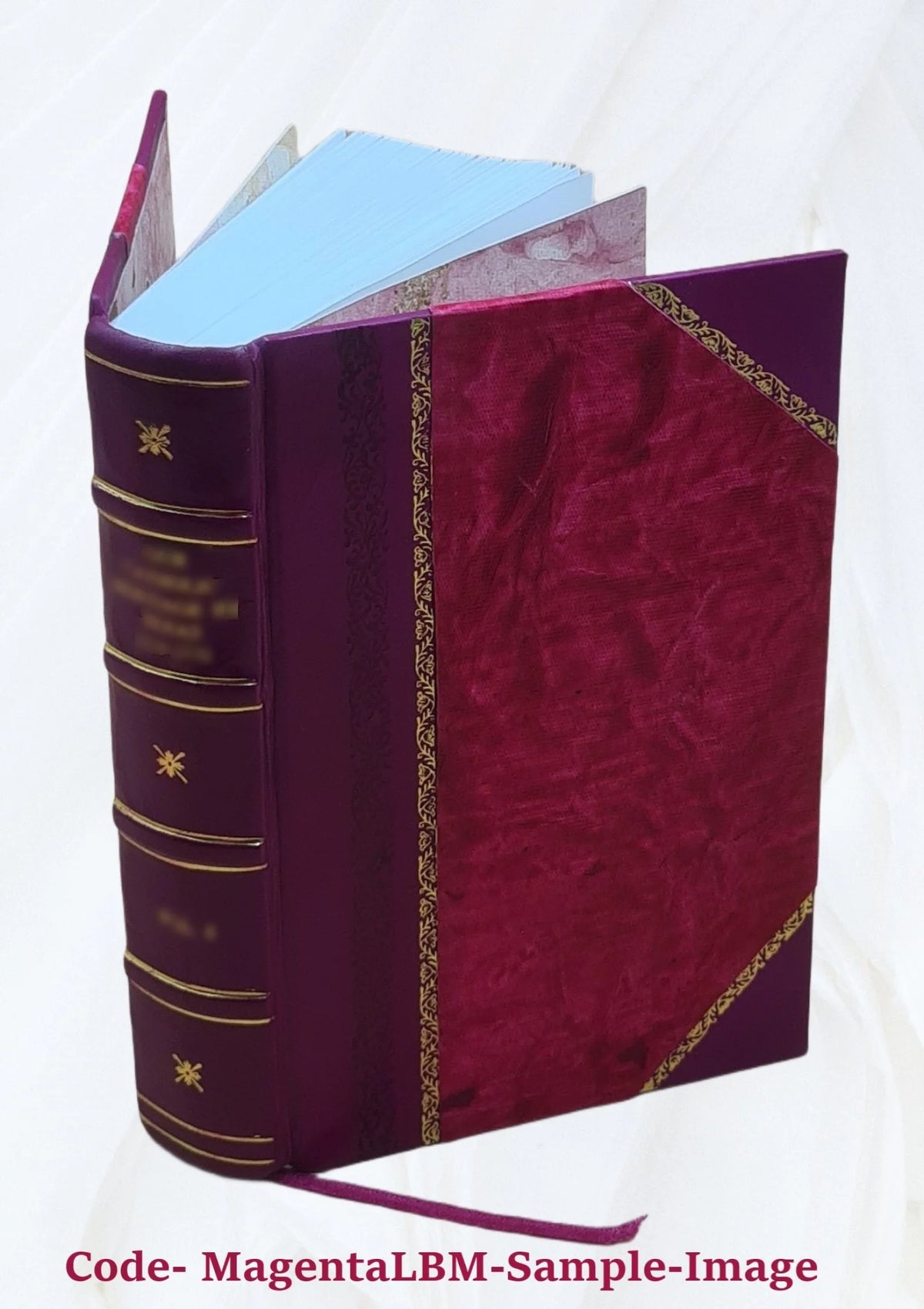 Leather Bound Book H241681