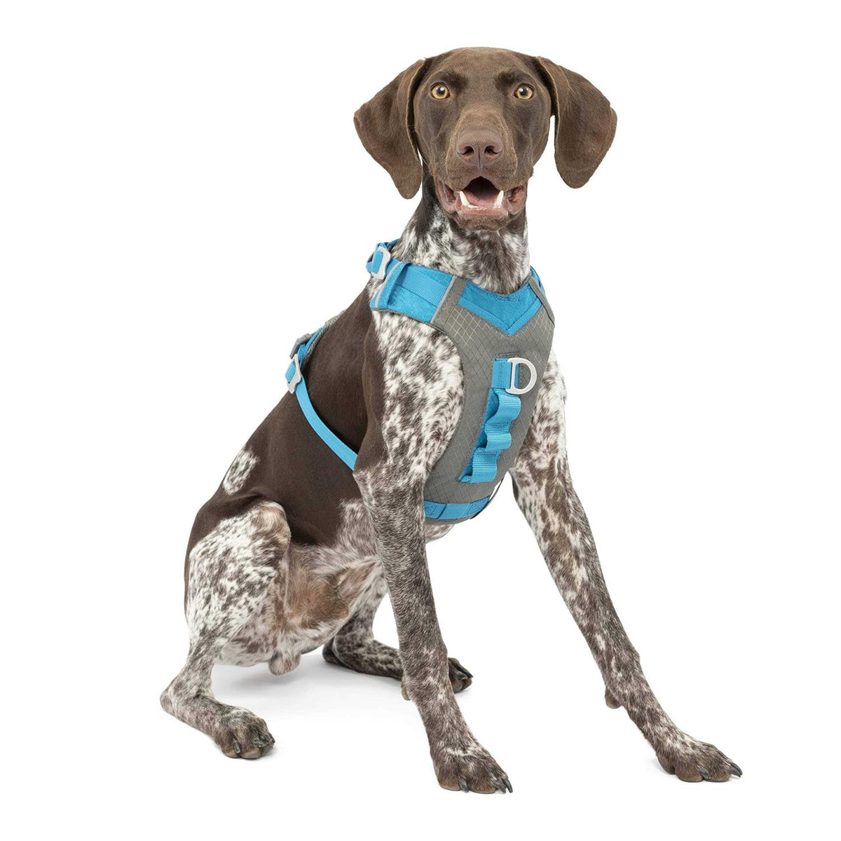 Dog Harness F899