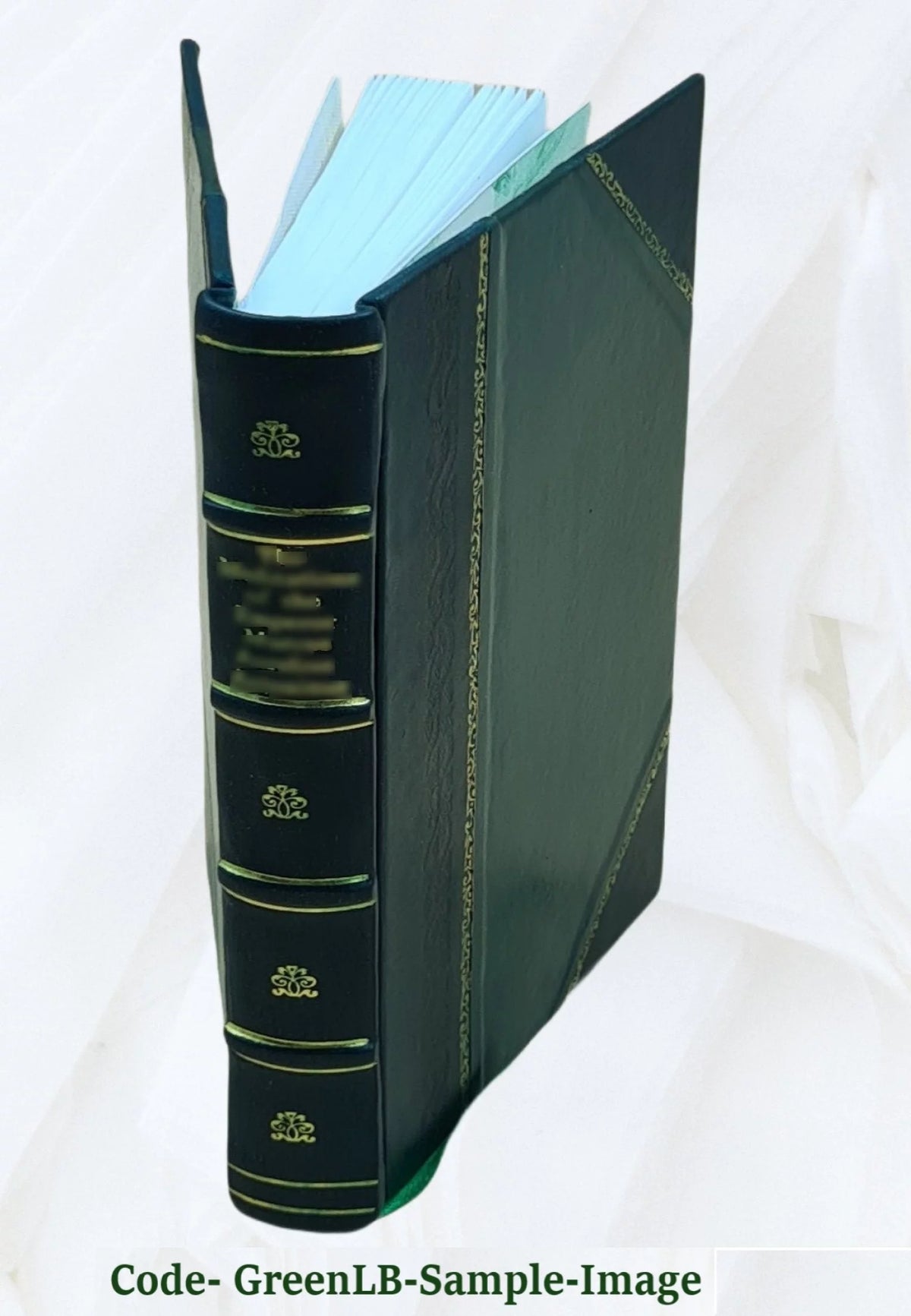 Leather Bound P36843