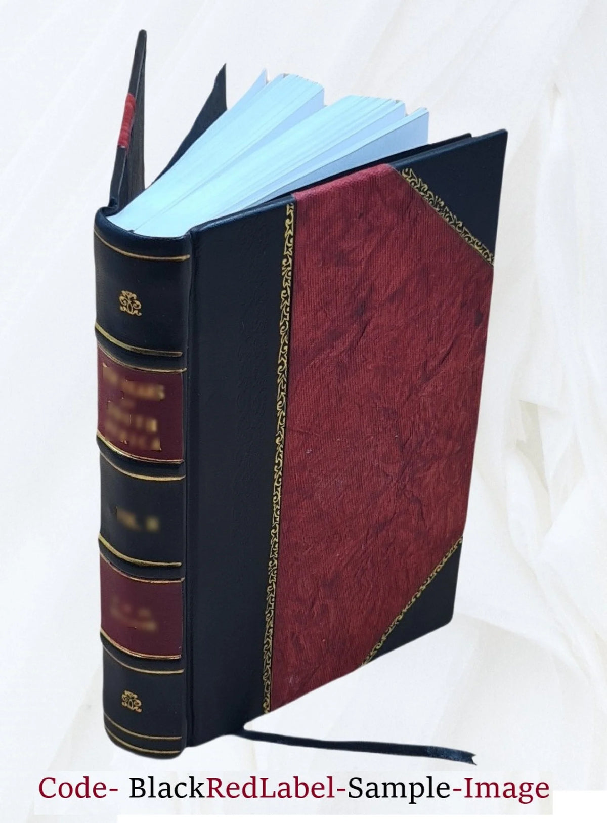 Leather Bound P36843