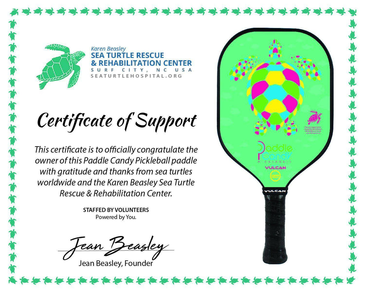 Pickleball Paddle A486